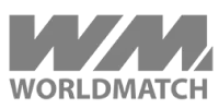 Visa Digital Logo